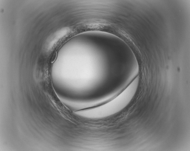 X0000055970407200508191212
