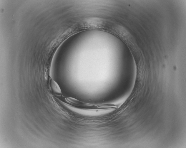 X0000055970457200508191212