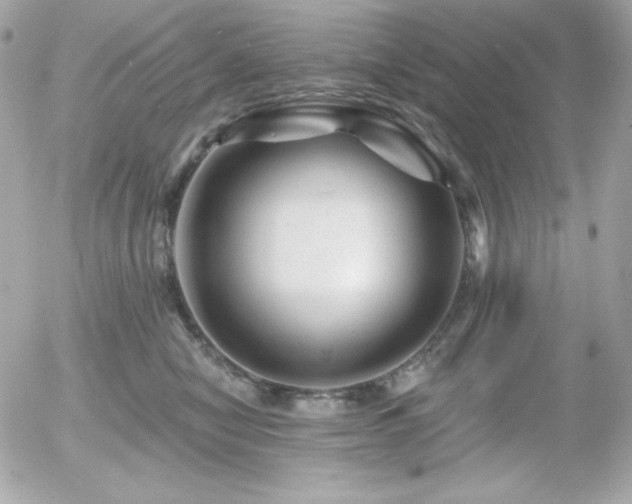 X0000055970470200508191212