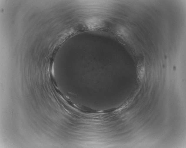 X0000055970471200508191212