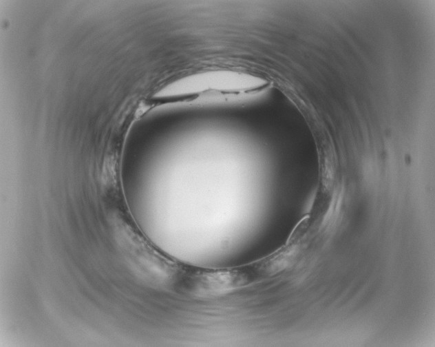 X0000055970473200508191212
