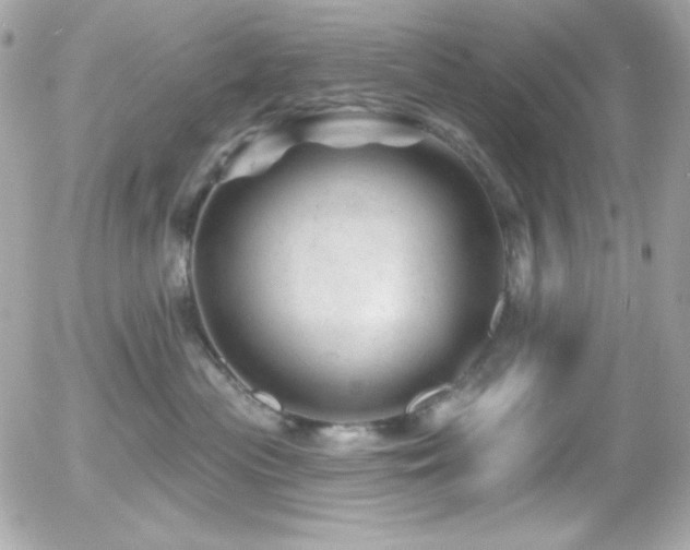 X0000055970477200508191212