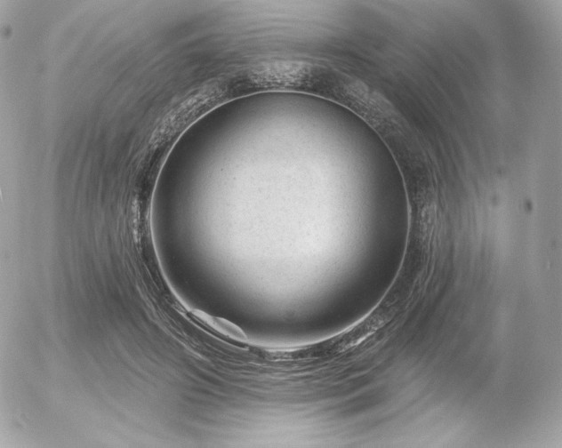 X0000055970498200508191211