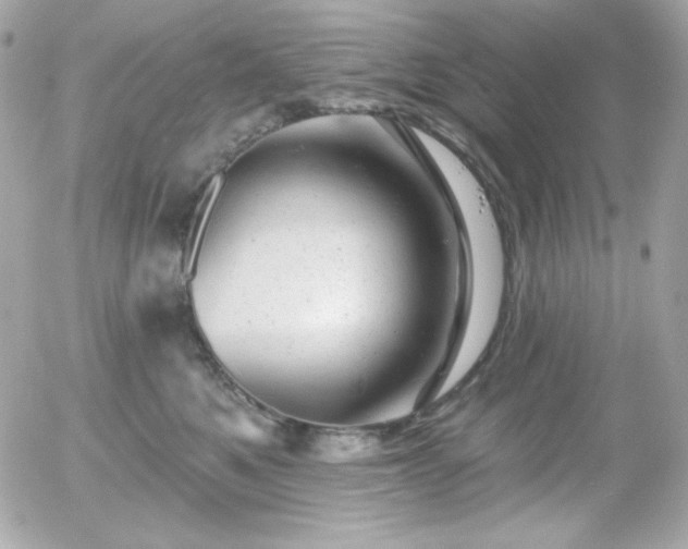X0000055970521200508191210