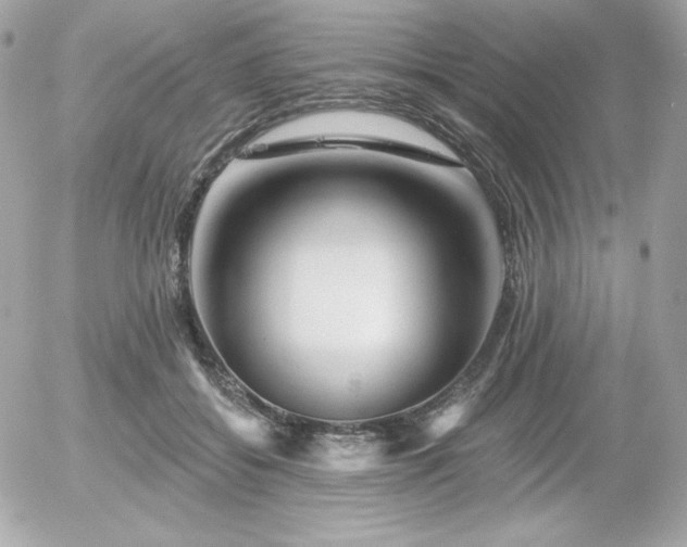 X0000055970556200508191210