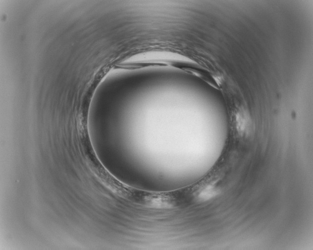 X0000055970564200508191210