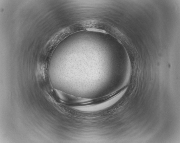 X0000055970601200508191209