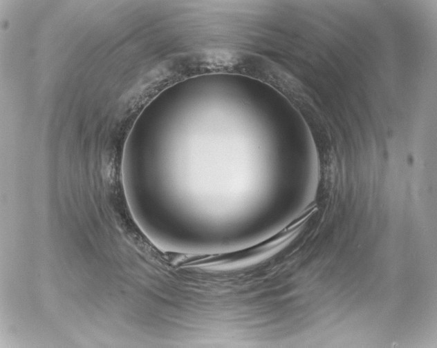 X0000055970608200508191209