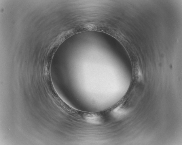 X0000055970611200508191209