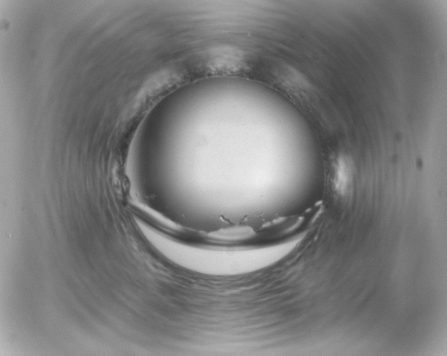 X0000055970619200508191209