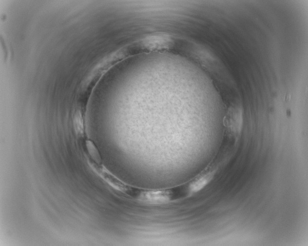 X0000055970622200508191209