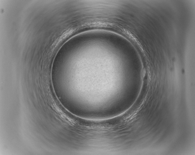 X0000055970625200508191208