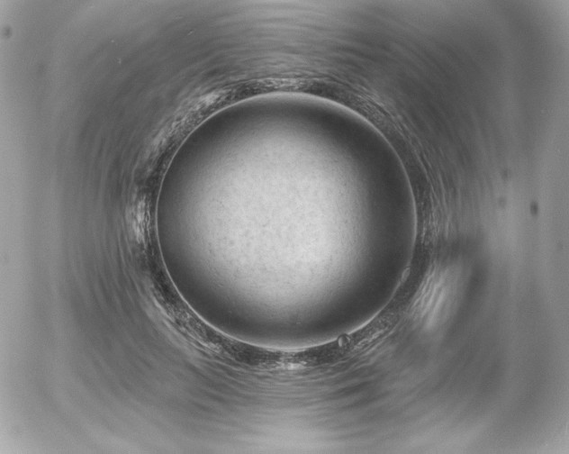 X0000055970647200508191208