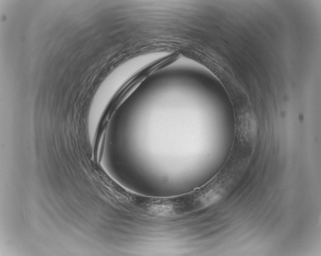 X0000055970653200508191208