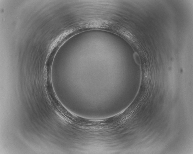 X0000055970678200508191208