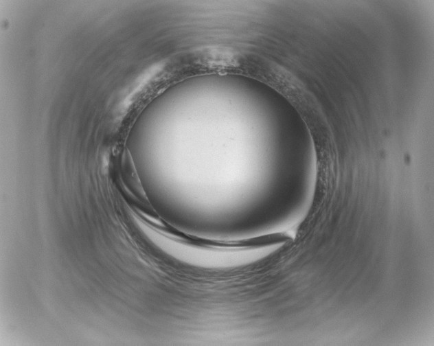 X0000055970704200508191207