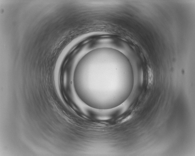 X0000055970750200508191207