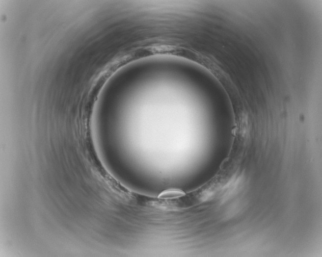 X0000055970763200508191207