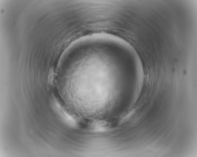 X0000055970767200508191207