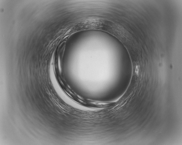X0000055970771200508191206