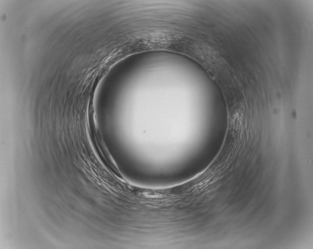 X0000055970772200508191206