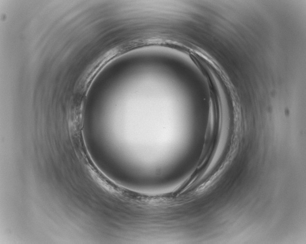 X0000055970801200508191206
