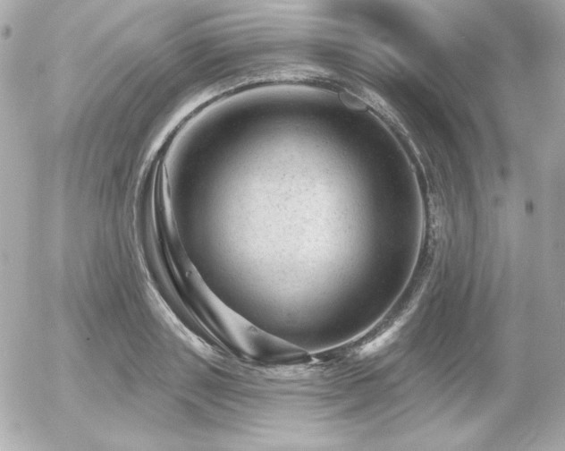 X0000055970843200508191205