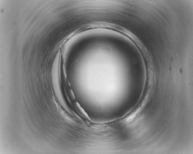 X0000055970857200508191205
