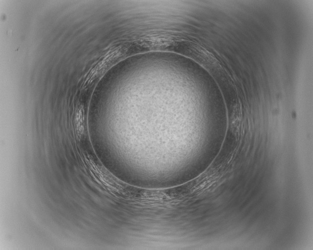 X0000055970866200508191205