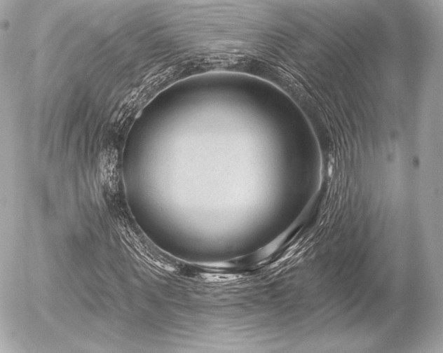 X0000055970867200508191205