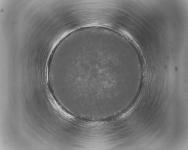 X0000055970892200508191204