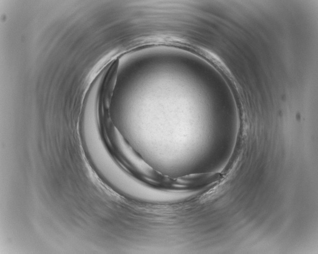 X0000055970946200508191204