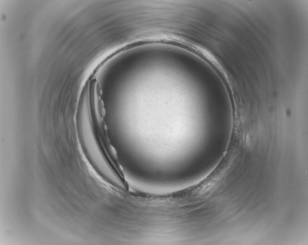X0000055970951200508191204