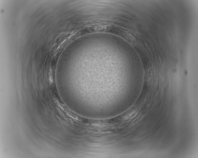 X0000055970962200508191203