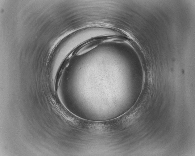 X0000055970971200508191203