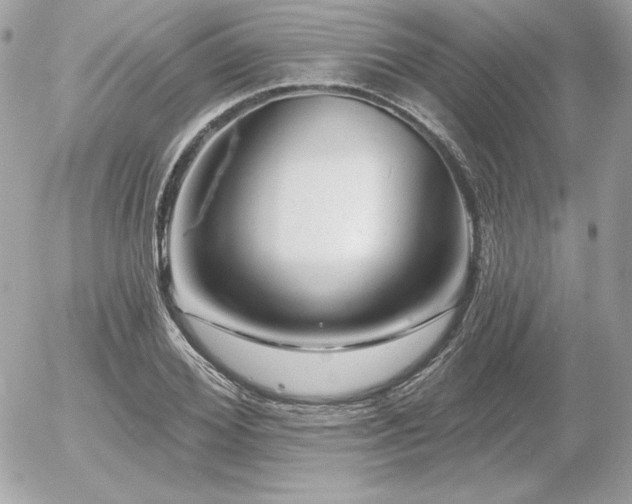 X0000055970980200508191203