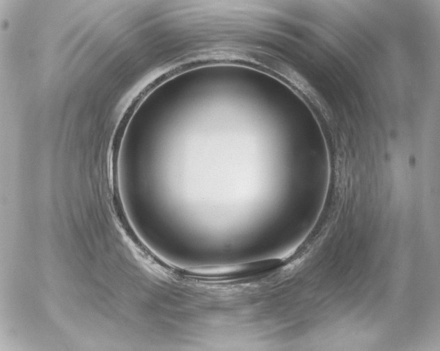 X0000055970988200508191203