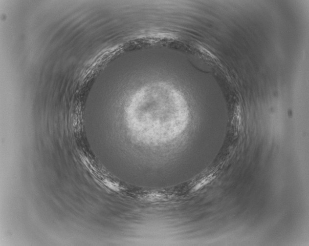 X0000055971014200508191202