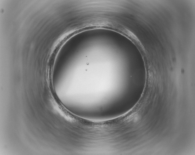 X0000055971035200508191202