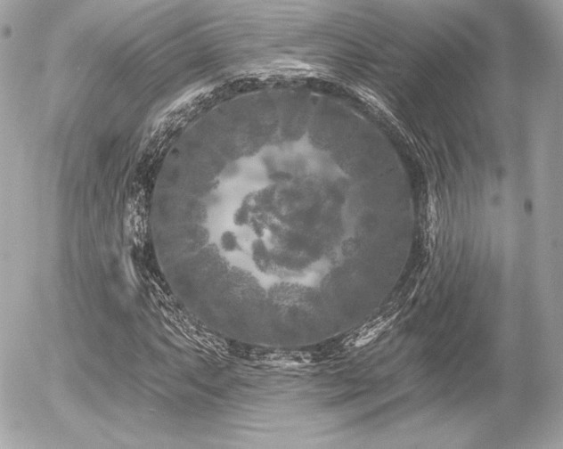 X0000055971063200508191202