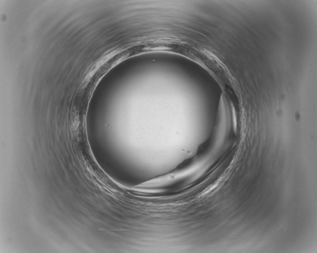 X0000055971065200508191201
