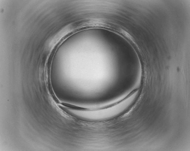 X0000055971082200508191201