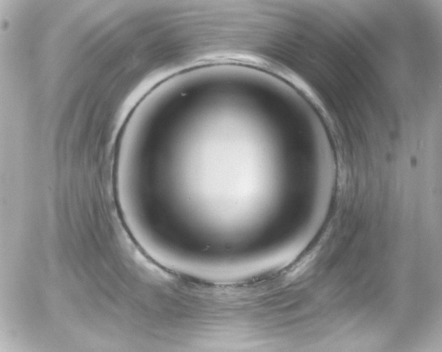 X0000055971102200508191201