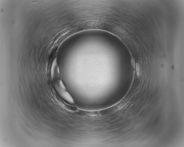 X0000055971107200508191200