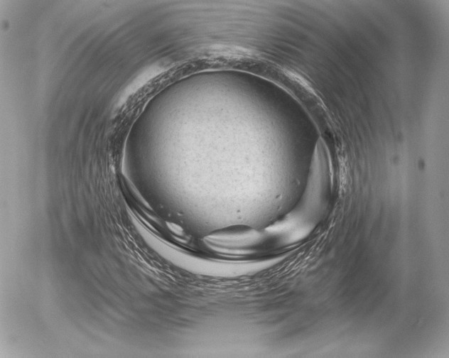 X0000055971112200508191200
