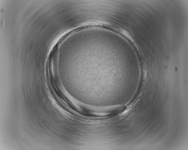 X0000055971124200508191200