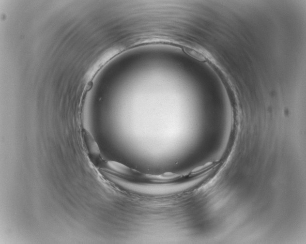 X0000055971145200508191201