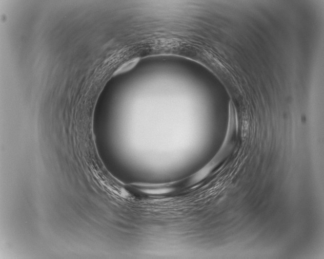 X0000055971153200508191200