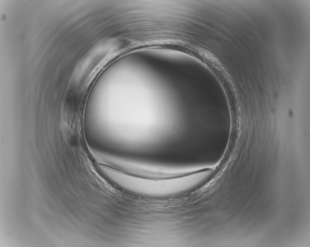 X0000055971177200508191200