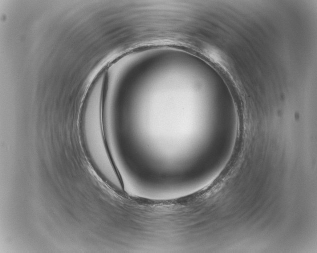 X0000055971181200508191200